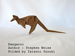 Photo Origami Kangaroo / Author :  Stephen Weiss, Folded by Tatsuto Suzuki